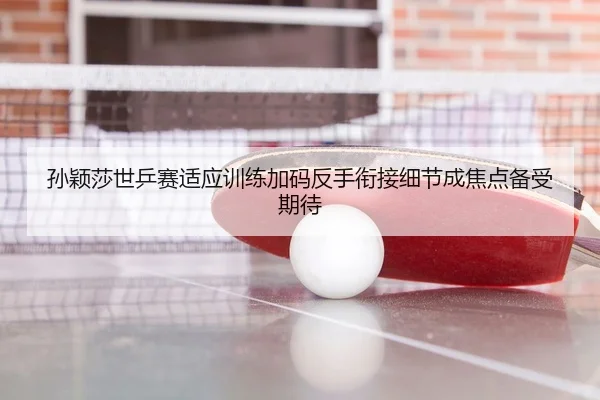 孙颖莎世乒赛适应训练加码反手衔接细节成焦点备受期待